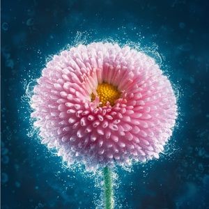 Meet your Posher, Mikaela